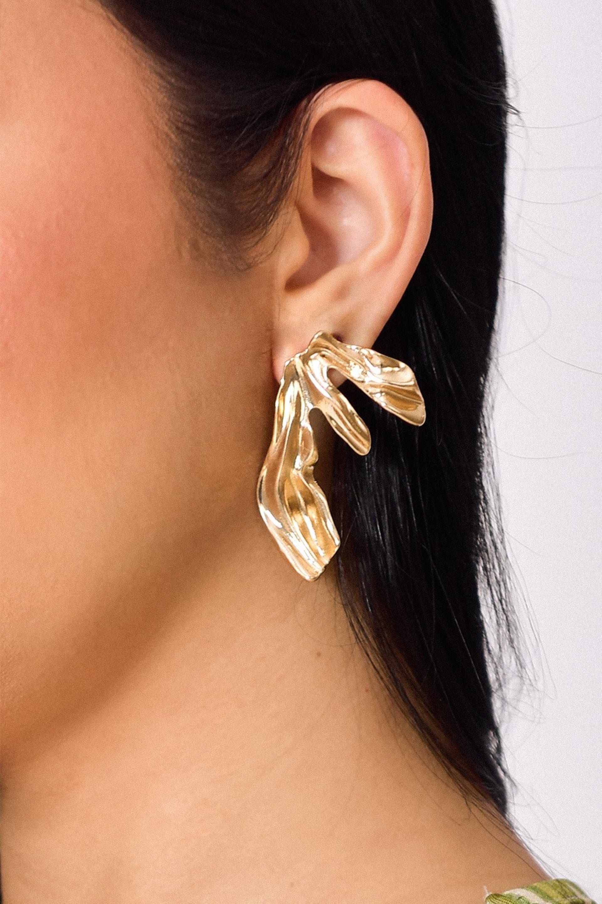 Aretes Fucus